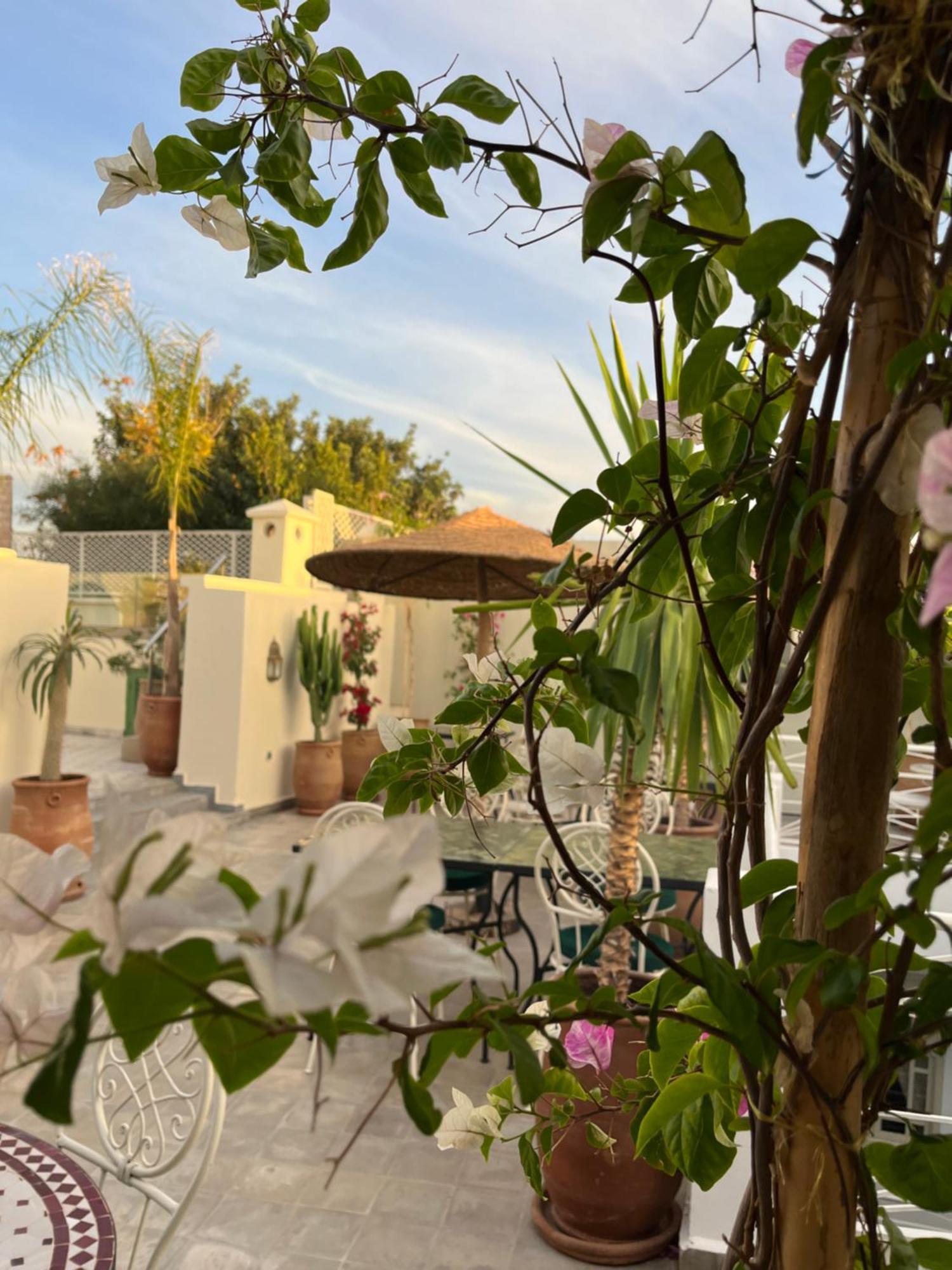 Riad Dar Blanche & Spa Маракеш Екстериор снимка