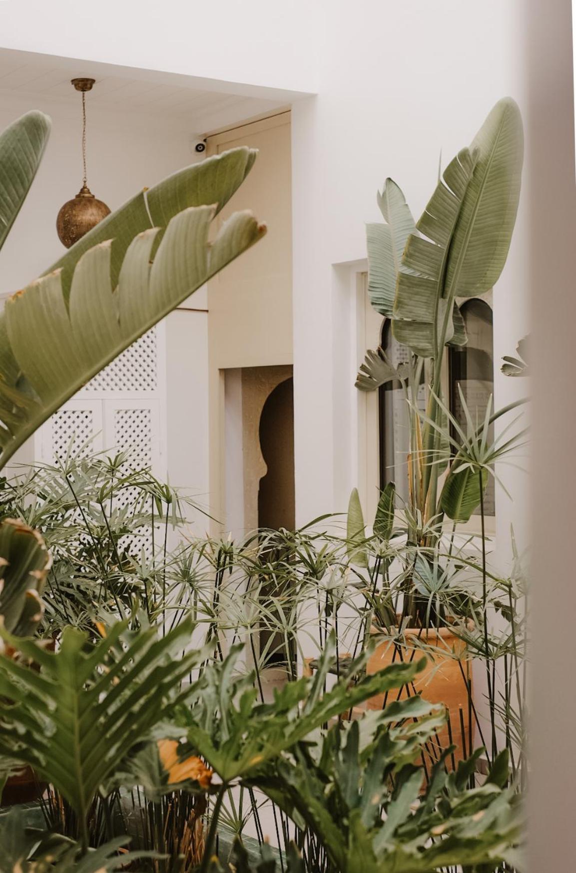 Riad Dar Blanche & Spa Маракеш Екстериор снимка