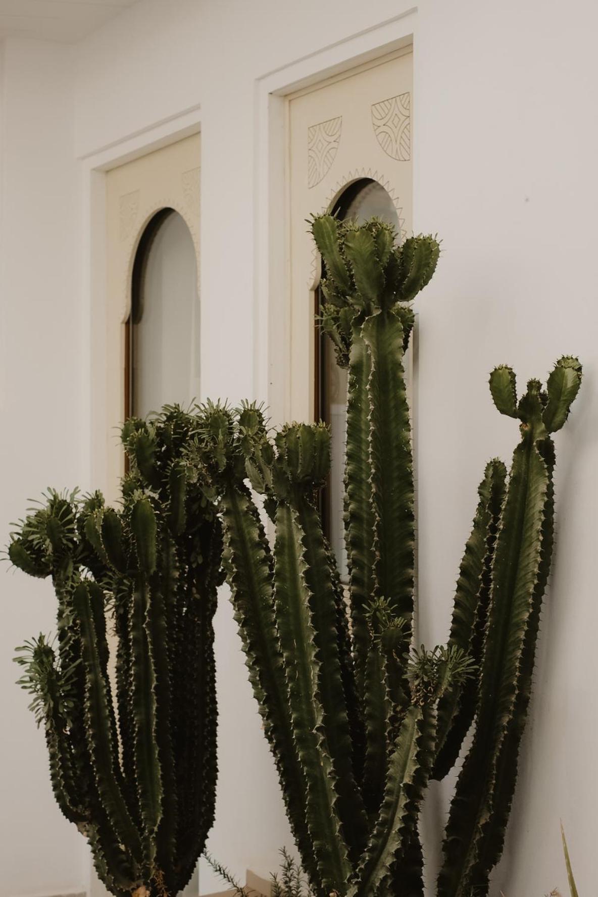 Riad Dar Blanche & Spa Маракеш Екстериор снимка